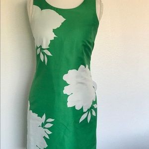 Banana Republic Dress. Green with White Flowers